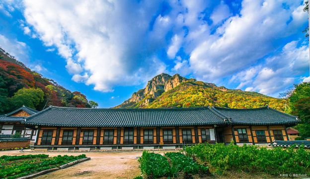 Baekyangsa