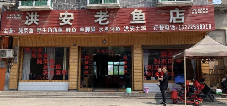 洪安老鱼店边城老字号