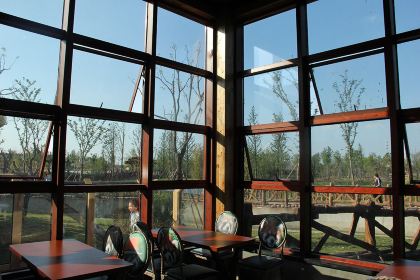 Little Panda Restaurant