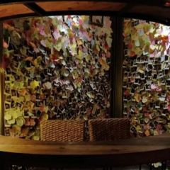 PEACH BLOSSOM WINEHOUSE User Photo