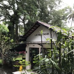 Jim Thompson's Tea Room at Bala's User Photo
