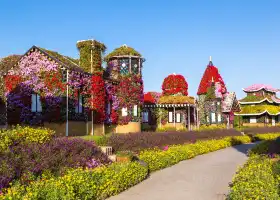 Dubai Miracle Garden