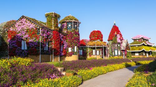 Dubai Miracle Garden