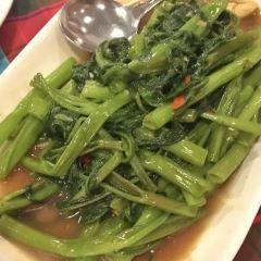 Cabbages & Condoms User Photo