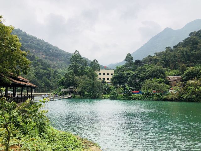 Ziyungu