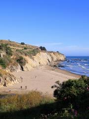 Bowling ball beach