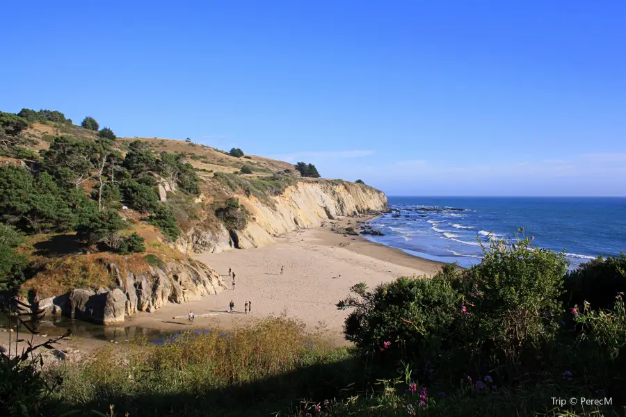 Bowling Ball Beach