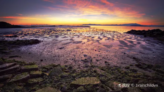 Albany Bulb