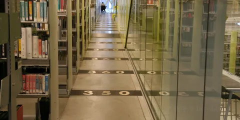 Bud Werner Memorial Library