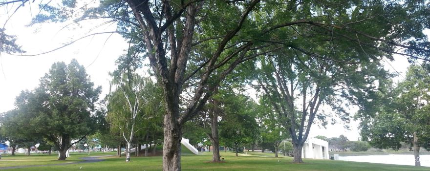 McCosh Park