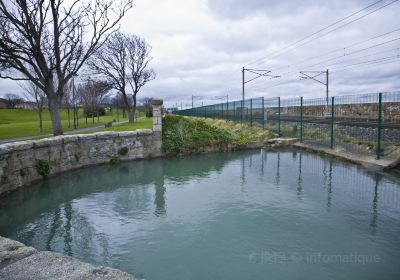 バンス・クリーク郡立公園