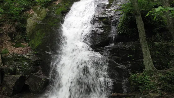 Beale Falls