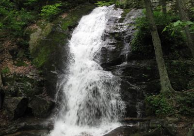 Beale Falls