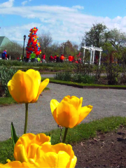 Delaware Park Rose Garden