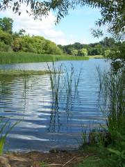 Bonito Lake