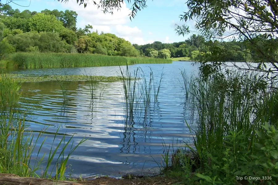 Bonito Lake