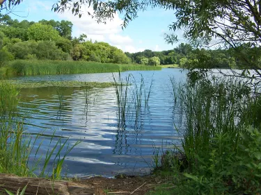 Bonito Lake