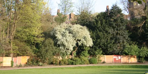 South Wood County Park