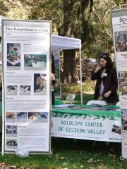Wildlife Center of Silicon Valley