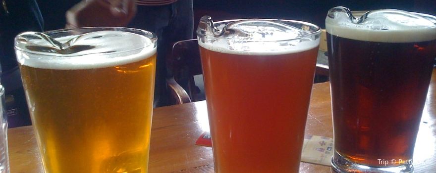 Conyngham Brewing Company