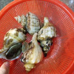 Lao Fu Ding User Photo