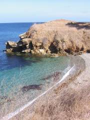 Snorkeling Catalina