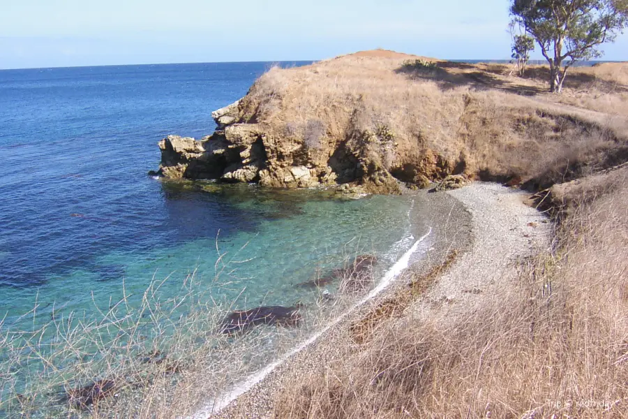 Snorkeling Catalina