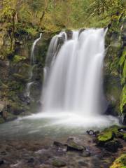 The Paulina Plunge