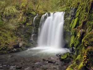 The Paulina Plunge