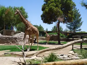 リード・パーク動物園