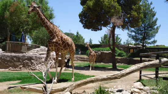 리드 파크 동물원
