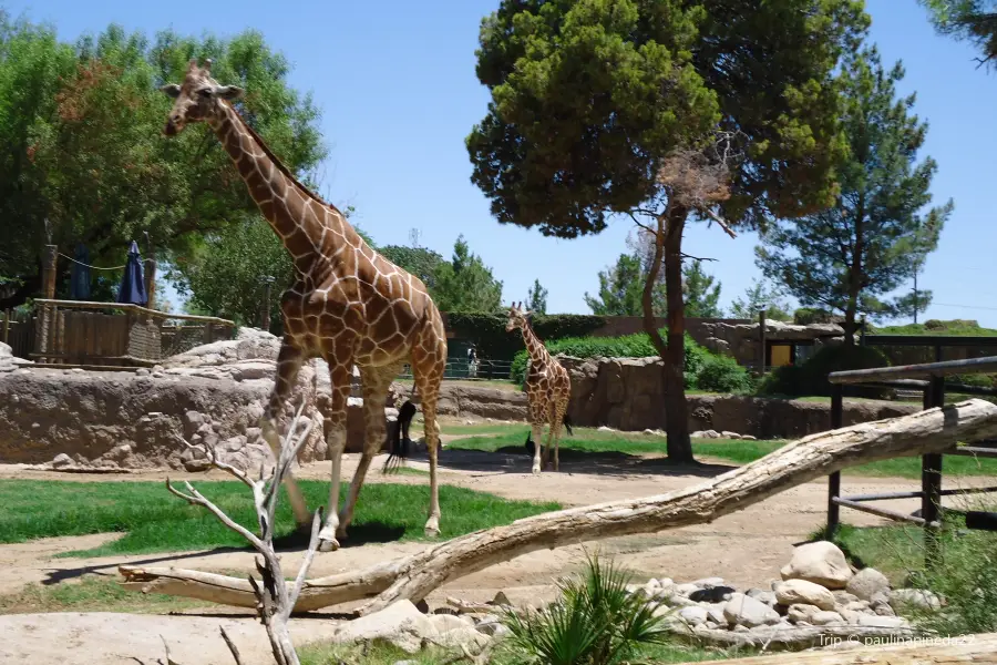 Zoológico Reid Park