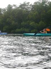 Gulf Coast Kayak