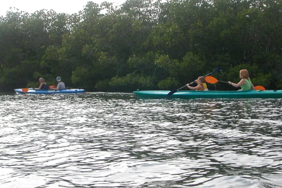 Gulf Coast Kayak
