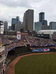 Target Field