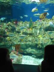 North Carolina Aquarium at Fort Fisher