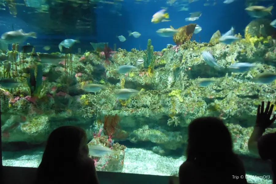 North Carolina Aquarium at Fort Fisher