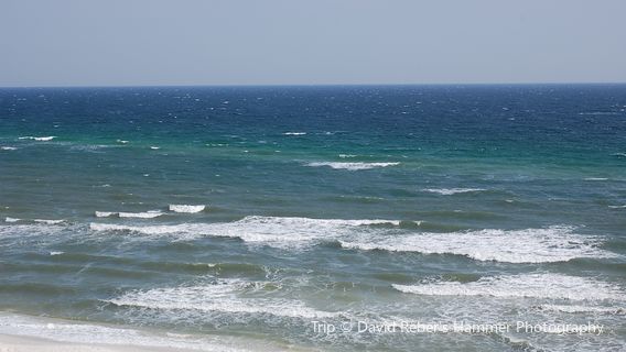 Rosa Beach