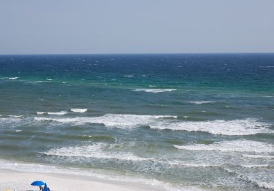 Praia do Rosa Beach