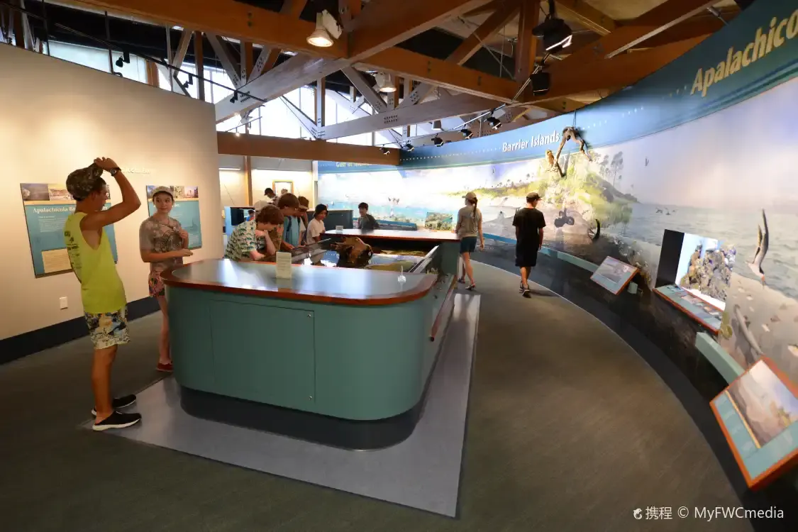 Hotels near Apalachicola National Estuarine Research Reserve