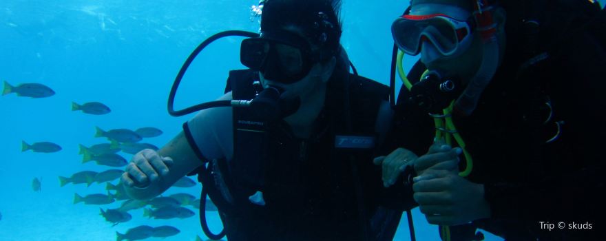 Isla Diving