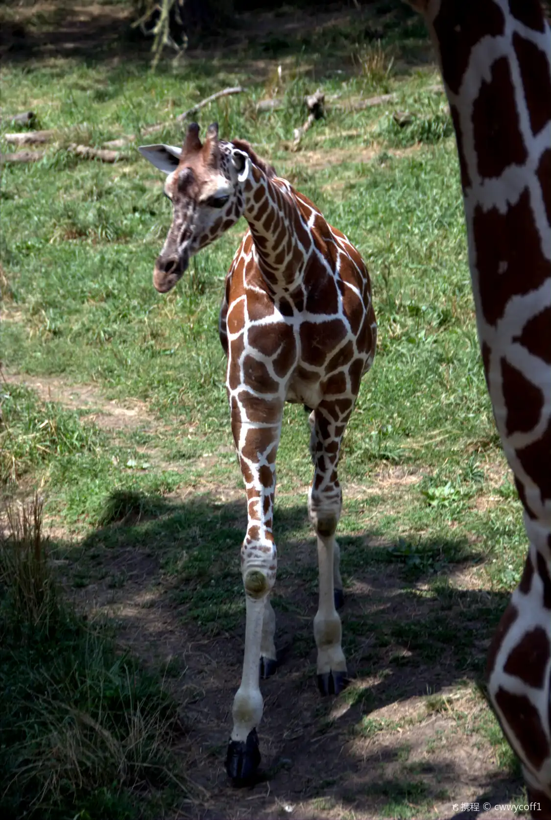 Hotel dekat Blank Park Zoo