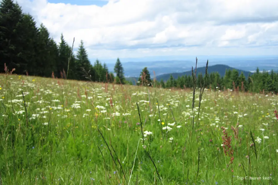 Black Forest Golf Course