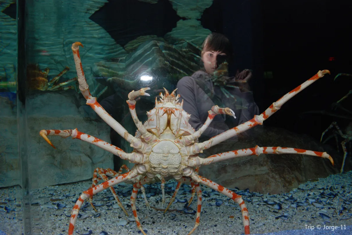 4_Two Oceans Aquarium