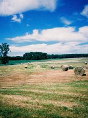 Summers Past Farms