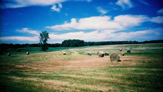 Summers Past Farms