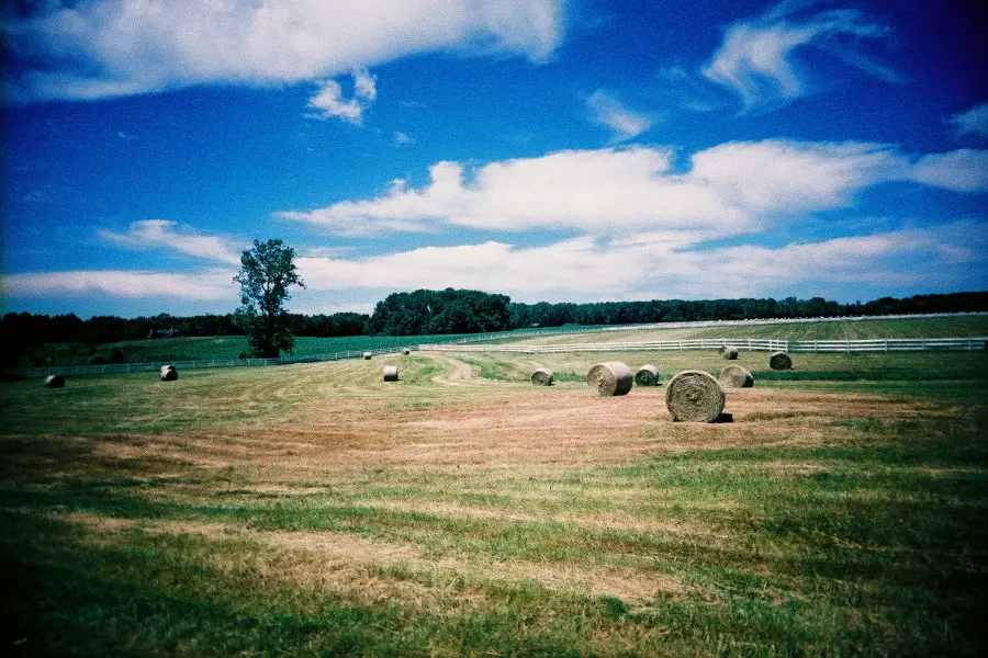 Summers Past Farms