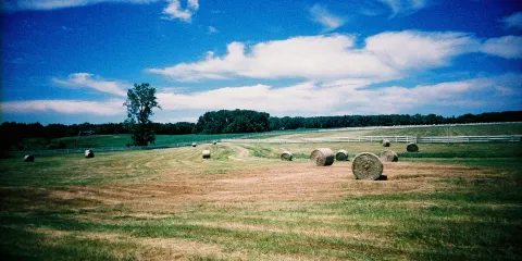Summers Past Farms
