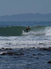 Tres Palmas Marine Reserve