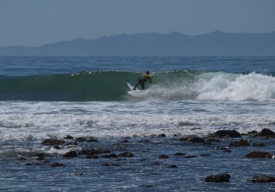 Tres Palmas Marine Reserve